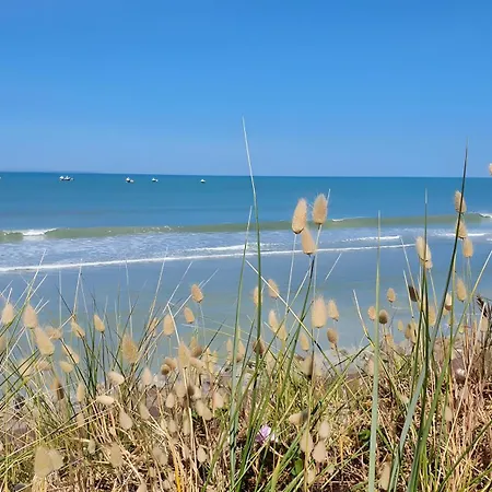 Escapade Pirouaise - La Salicorne * Pirou