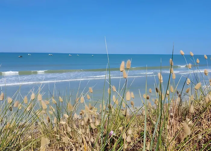 Escapade Pirouaise - La Salicorne * Pirou